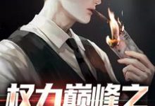 权力巅峰之红色仕途完整版小说，权力巅峰之红色仕途张文定试读更新章节-蔬菜文学