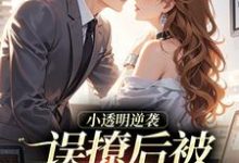 (全文)小透明逆袭：误撩后被大佬宠上天许惟昭方肃礼全本免费在线阅读-蔬菜文学