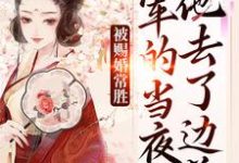 (全文)被赐婚常胜将军的当夜，他去了边关青妩燕昭全本免费在线阅读-蔬菜文学