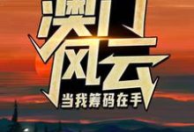 澳门风云:当我筹码在手推荐完结小说,澳门风云:当我筹码在手王东曼丽免费小说全本-蔬菜文学