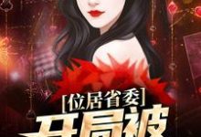 (全文)位居省委，开局被妻子举报(苏玉黎锦)全本免费在线阅读-蔬菜文学