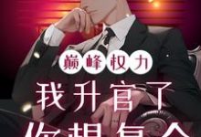 巅峰权力：我升官了你想复合（林磊）小说推荐巅峰权力：我升官了你想复合全章小说阅读-蔬菜文学