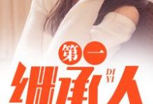 第一继承人（徐飞）小说推荐第一继承人全章小说阅读-蔬菜文学