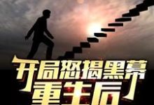(全文)开局怒揭黑幕，重生后整顿官场陈知行全本免费在线阅读-蔬菜文学