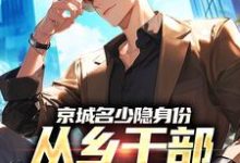 (全文)京城名少隐身份，从乡干部开始逆袭免费小说全本，谢斌裴靖泽试读更新章节-蔬菜文学