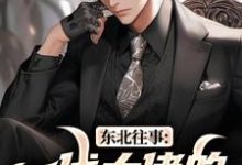 东北往事：一代大佬的成功之路最新完结小说东北往事：一代大佬的成功之路王晨马三免费小说-蔬菜文学