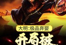 大明：极品弃婴，开局被老朱捡回家完整版小说，大明：极品弃婴，开局被老朱捡回家朱炫试读更新章节-蔬菜文学
