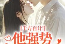 (全文)千方百计！他强势夺我闪婚南昭沙赫全本免费在线阅读-蔬菜文学
