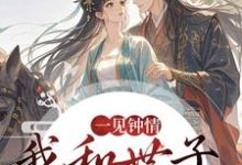 一见钟情，我和世子天生一对最新完结小说一见钟情，我和世子天生一对沈如风苏云锦免费小说-蔬菜文学
