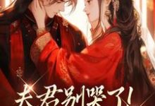 (全文)夫君别哭了！我来替你虐渣沈婉宁韩云泽全本免费在线阅读-蔬菜文学