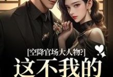 空降官场大人物？这不我的裙下臣吗（顾杳周政良）全本书籍阅读空降官场大人物？这不我的裙下臣吗完整版小说-蔬菜文学