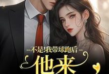 (全文)不是!我带球跑后他来强娶豪夺免费小说全本,周静书傅聿呈试读更新章节-蔬菜文学