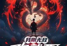 我刚无敌，你就要跟我退婚？完整版小说我刚无敌，你就要跟我退婚？(苏阳)全章小说阅读-蔬菜文学