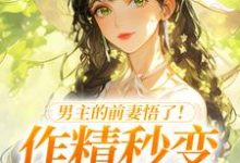 (全文)男主的前妻悟了！作精秒变粘人精许岁宁霍青山全本免费在线阅读-蔬菜文学