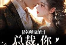 舔狗觉醒：总裁，你只是个替身完整版小说舔狗觉醒：总裁，你只是个替身(许瑾禾裴景之)全章小说阅读-蔬菜文学