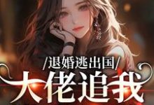 退婚逃出国，大佬追我满世界跑推荐完结小说，退婚逃出国，大佬追我满世界跑江野崎楚灵兮免费小说全本-蔬菜文学