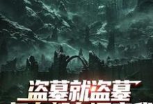 盗墓就盗墓,怎么都在调查我推荐完结小说盗墓就盗墓,怎么都在调查我(吴邪白小白)免费小说全本-蔬菜文学