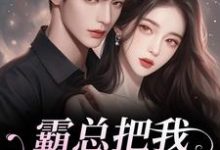 霸总把我当替身后，他真的后悔了完整版小说霸总把我当替身后，他真的后悔了(白筱帆盛延)全章小说阅读-蔬菜文学