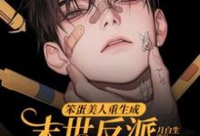 (全文)笨蛋美人重生成末世反派的男友后沈绵叶瑾修最新完结小说笨蛋美人重生成末世反派的男友后免费小说全本-蔬菜文学