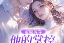危险博弈：他的掌控与她的反杀完整版小说，危险博弈：他的掌控与她的反杀叶时欢全章小说阅读-蔬菜文学