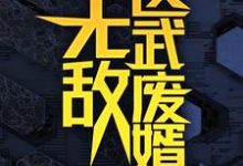 (全文)无敌医武废婿秦铭最新完结小说无敌医武废婿免费阅读-蔬菜文学