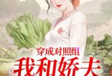穿成对照组，我和娇夫杀疯了完整版小说，穿成对照组，我和娇夫杀疯了秦晏姜清妤全章小说阅读-蔬菜文学