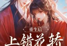 谢北洺沈云舒重生后，上错花轿嫁对纨绔全本免费在线阅读-蔬菜文学