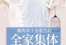 被弃真千金重生后，全家集体变舔狗热门小说排行榜被弃真千金重生后，全家集体变舔狗温意晚裴予珩免费小说全本-蔬菜文学