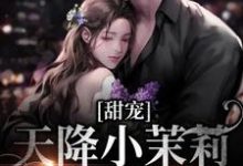 甜宠：天降小茉莉住进了我家沈津南林听热门小说排行榜甜宠：天降小茉莉住进了我家免费小说-蔬菜文学