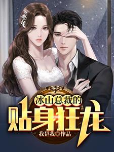 (全文)冰山总裁的贴身狂龙(沈念)全本免费在线阅读