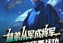 (全文)替弟从军成将军，归来问我要战功（叶临渊）免费小说替弟从军成将军，归来问我要战功试读更新章节-蔬菜文学