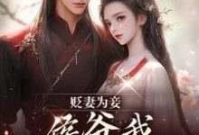 贬妻为妾,侯爷我不伺候啦慎如余启完结小说推荐,贬妻为妾,侯爷我不伺候啦全章小说阅读-蔬菜文学
