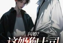 闪婚？这奶狗上司真难缠（赵芜鱼邓北辰）全本书籍阅读闪婚？这奶狗上司真难缠完整版小说-蔬菜文学