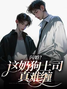 闪婚？这奶狗上司真难缠（赵芜鱼邓北辰）全本书籍阅读闪婚？这奶狗上司真难缠完整版小说