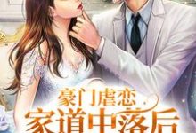 豪门虐恋:家道中落后我提出离婚了(萧丛南傅烬如)全章小说阅读-蔬菜文学