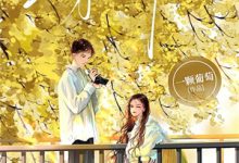 (全文)重生后，婆婆请做好被虐的准备免费小说全本，顾暖试读更新章节-蔬菜文学