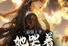 (全文)最强王爷：她哭着跟我求和(杨凡)全本免费在线阅读-蔬菜文学