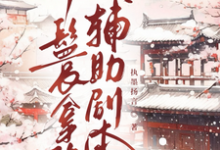 (全文)丫鬟拿稳辅助剧本免费小说全本，傅初霁试读更新章节-蔬菜文学