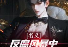 名义：反腐风暴中我帮叔叔卡bug（祁明轩）小说推荐名义：反腐风暴中我帮叔叔卡bug全章小说阅读-蔬菜文学