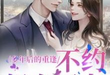 (全文)多年后的重逢，不约，姐有男友（禾念安池少东）全本书籍阅读多年后的重逢，不约，姐有男友免费小说全本-蔬菜文学