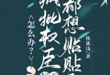 (全文)怎么办？疯批权臣每天都想贴贴我(顾轻舟)全本免费在线阅读-蔬菜文学