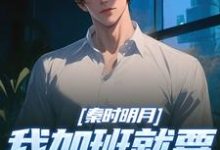 秦时明月：我加班就要被扣经验值（赵子珏）全本书籍阅读秦时明月：我加班就要被扣经验值完整版小说-蔬菜文学