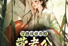 (全文)穿越成童养媳,带老公荒年发大财林十七最新完结小说穿越成童养媳,带老公荒年发大财免费小说全本-蔬菜文学