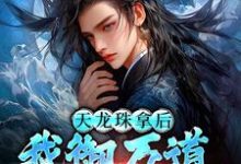 天龙珠拿后,我御万道吞四海完整版小说,天龙珠拿后,我御万道吞四海江尘全章小说阅读-蔬菜文学