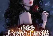 (全文)撩不够，大佬的小野猫又欲又嚣张陆晨矅最新完结小说撩不够，大佬的小野猫又欲又嚣张免费小说全本-蔬菜文学