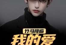 江书正竹马降临,我的爱瞬间扫地全本免费在线阅读-蔬菜文学
