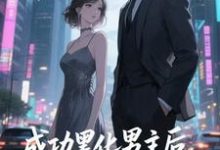 快穿：男主事业心呢，怎么全是恋爱脑完整版小说，快穿：男主事业心呢，怎么全是恋爱脑迦扬厄洛斯全章小说阅读-蔬菜文学