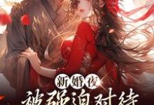 新婚夜被强迫对待,这叫不近女色?谢临珩虞听晚热门小说排行榜新婚夜被强迫对待,这叫不近女色?免费小说-蔬菜文学