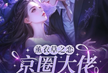 薰衣草之恋,京圈大佬暗恋我宁清灵完结小说推荐薰衣草之恋,京圈大佬暗恋我全本书籍阅读-蔬菜文学