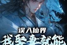 (全文)误入仙界,我娶妻就能天下无敌许世安最新完结小说误入仙界,我娶妻就能天下无敌免费小说全本-蔬菜文学